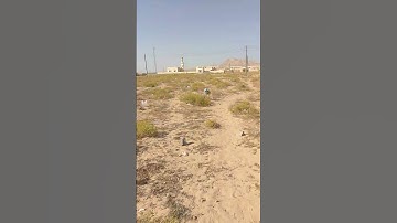 قران كريم تلاوات جميل جيدا القاري محمد الفقيه #الشيخ_محمد_الفقيه #محمد_الفقيه #المصحف