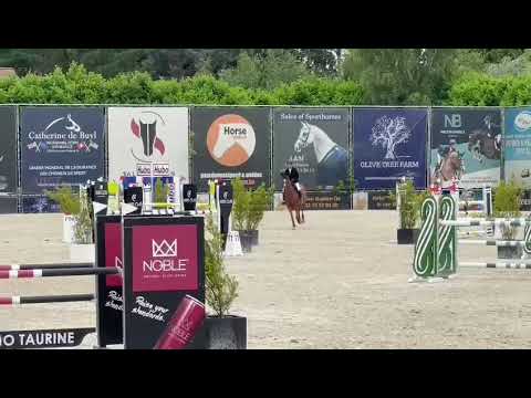 Bentley 7 CSIYH 6 year old Bonheiden 2nd place