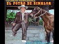 El Potro De Sinaloa-Gregorio Nuñez