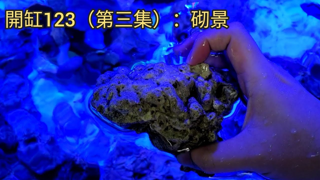 開缸123（第三集）： 砌景