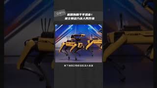 机器狗跳千手观音，波士顿动力达人秀炸场 网友：黑镜预告片描述#机器狗 # #chatgpt #牛牛虚拟卡 #niuniucard #虚拟信用卡 #ai工具