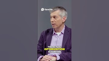 Understanding Optimization Algorithms  The Mystery Behind Their Success