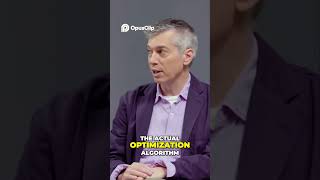 Understanding Optimization Algorithms  The Mystery Behind Their Success