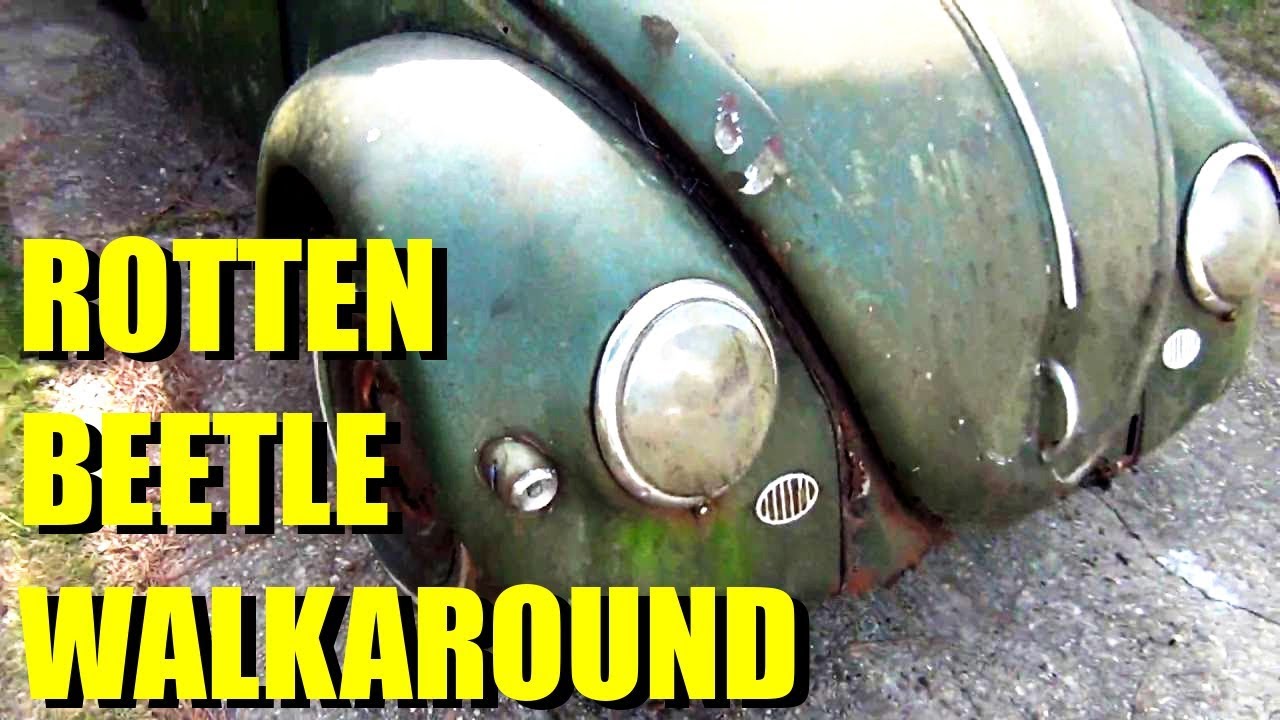 ROTTEN OLD 1956 Oval VW Beetle