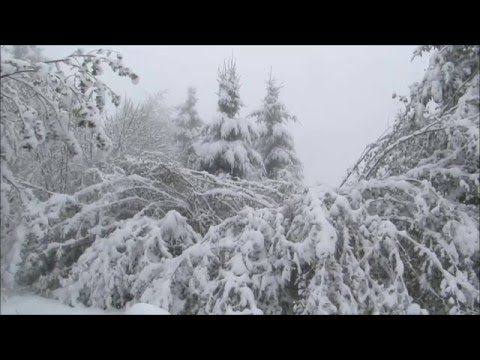 Video: Snežne Padavine V Queenslandu V Avstraliji