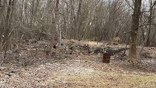 IMG 0880