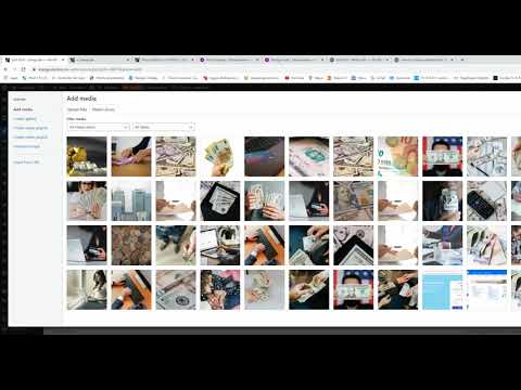 3 text snippets