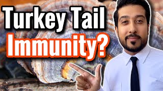 Do Turkey Tail Mushrooms Work? | The CORRECT Way to Take Turkey Tail Mushroom