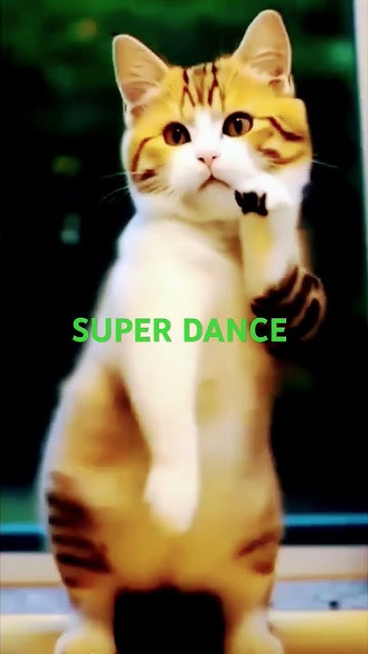 super-dance-shortsfeed-short-shorts-viralshort