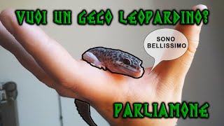 VUOI UN GECO LEOPARDINO? Prima guarda questo video dove te ne parlo - SCHEDA ALLEVAMENTO