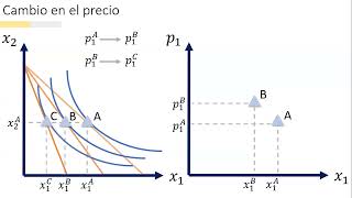 MICROECONOMÍA I - Teoría del Consumidor: Concepto de Demanda Marshalliana