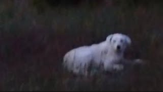 The Last Stair But Theres Someone You Need To Forgive