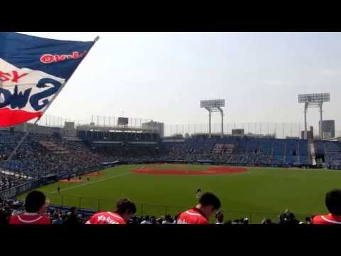 プロ野球 オープン戦 東京ヤクルト対北海道日本ハム スワローズ 応援歌 1-9 2015/03/22