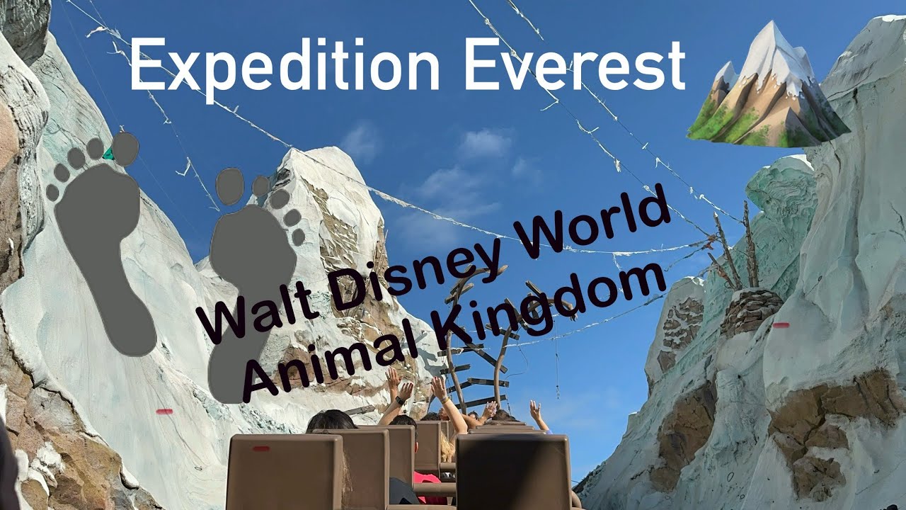 Expedition Everest On Ride and Off Ride Footage Walt Disney World Animal Kingdom