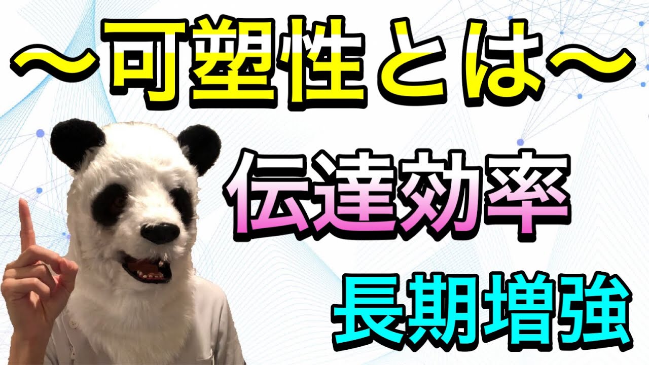 脳の可塑性がよくわかる解説〜伝達効率の変化とは〜