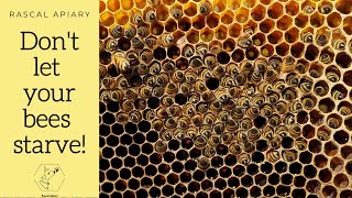 Feeding your bees beḟore the spring flow! | Beekeeping in 2021 | Don't let your bees starve!