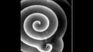Moving a Pinned Spiral in the BZ Reaction