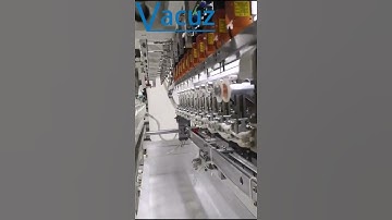 Vacuz 12 Spindles High Speed Automatic Transformer Bobbin Coil Winding Taping Machine Manufacturer