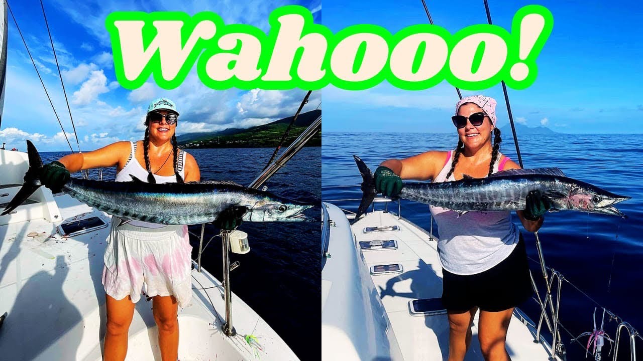 The Best of Days Onboard 🎣 ⛵️🐬 Ep.157