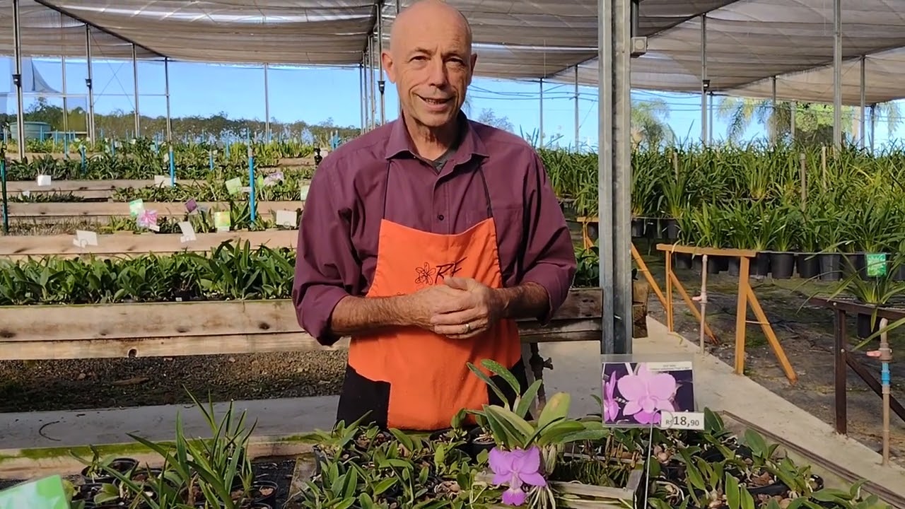 A  beleza da Walkeriana!