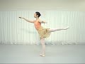 インターネットバレエ　V21_1  アラベスク の動画、YouTube動画。