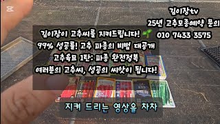 고추육묘 99%성공하기 1탄[고추씨 파종편] 쉽게 배우는 고추모종키우는방법. #고추육묘하기 #고추재배 #고추품종