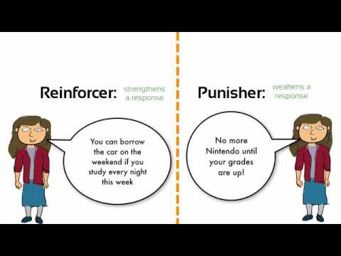 Learning  Negative Reinforcement vs  Punishment