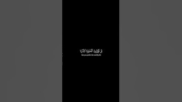 كروما شاشة سوداء قرآن كريم 🍀 محمد ايوب 🍀 سورة الأعلى  #تلاوة_هادئة #اكسبلور #كرومات