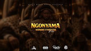 Ngonyama (Namane e Tshehla)