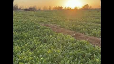 القارئ محمد سلامة | ما تيسر من سورة الأعراف | تراويح 1446ه‍