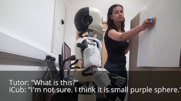 iCub robot - Language acquisition through visual grounding (long)