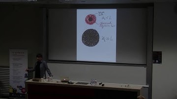 Pr Georgi Dvali - "Black hole quantum computing (in labs and in the sky)"
