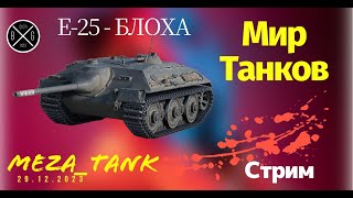 🔥 Е-25 - Блоха 🔥 Проверяем как чувствует себя легенда рандома. Играем во взводе.