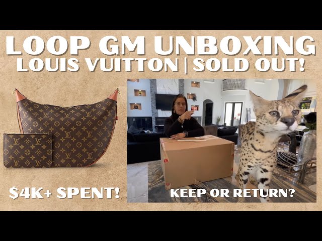 NEW Louis Vuitton Loop Hobo GM  Review, What Fits, Mod Shots 