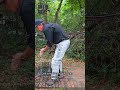 Finding exactly what you need at the Old Sheldon Church Ruins in the Lowcountry