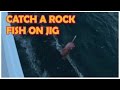 How to catch a Rock Fish on a jig by Dan Hernandez | SPORT FISHING