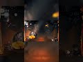 Hollow Knight Silksong - Forebrothers Signis and Gron