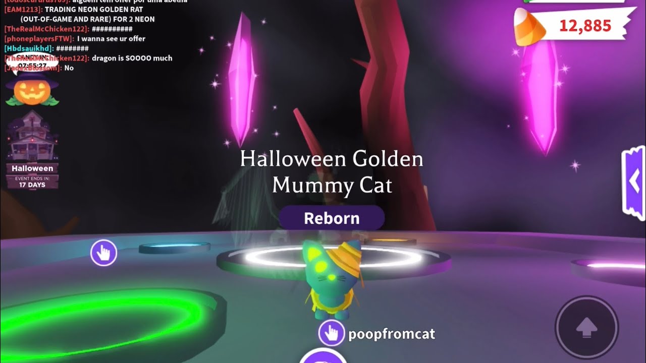 Neon Golden Mummy Cat + All Tricks YouTube