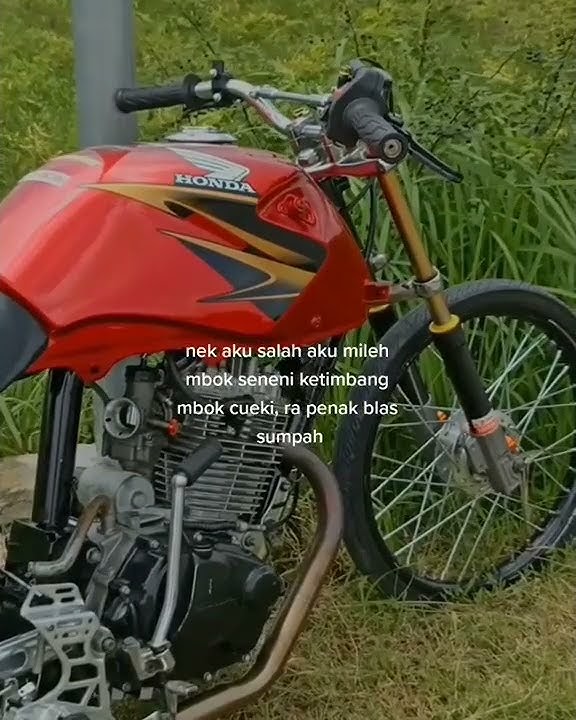 story' wa quotes herex // Honda Tiger herex