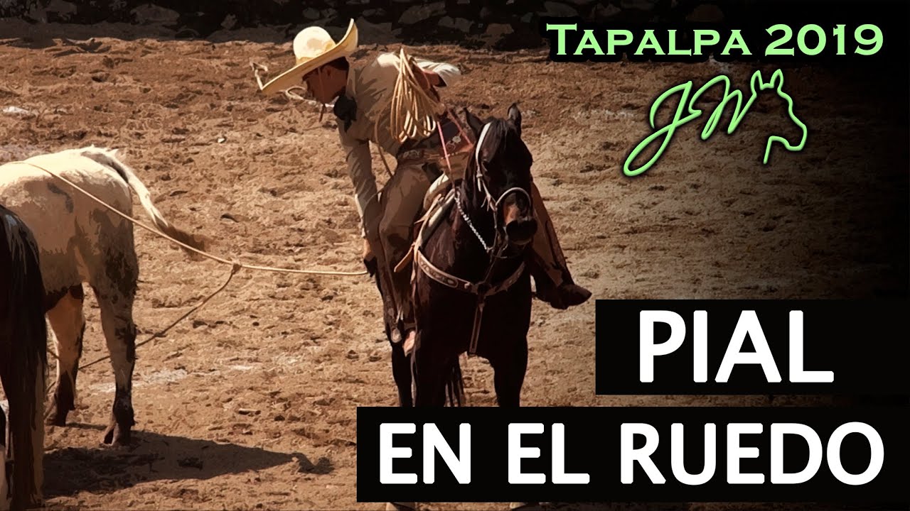 PIAL EN EL RUEDO - 7° Campeonato de la Sierra TAPALPA 2019