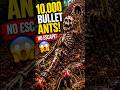 Skeleton vs 10,000 Bullet Ants 🐜💀 | No Escape? #shorts #youtubeshorts #subscribe #viral