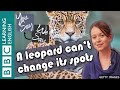 We Say - You Say - a leopard cant change its spots
