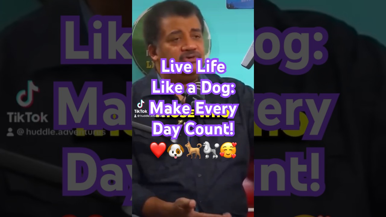 ❤️Live Life Like a Dog: Make Every Day Count❤️🐶 #joy #love #dog  #shorts 