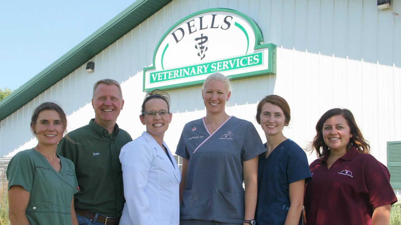 Take a Look Inside Dells Veterinary Services YouTube