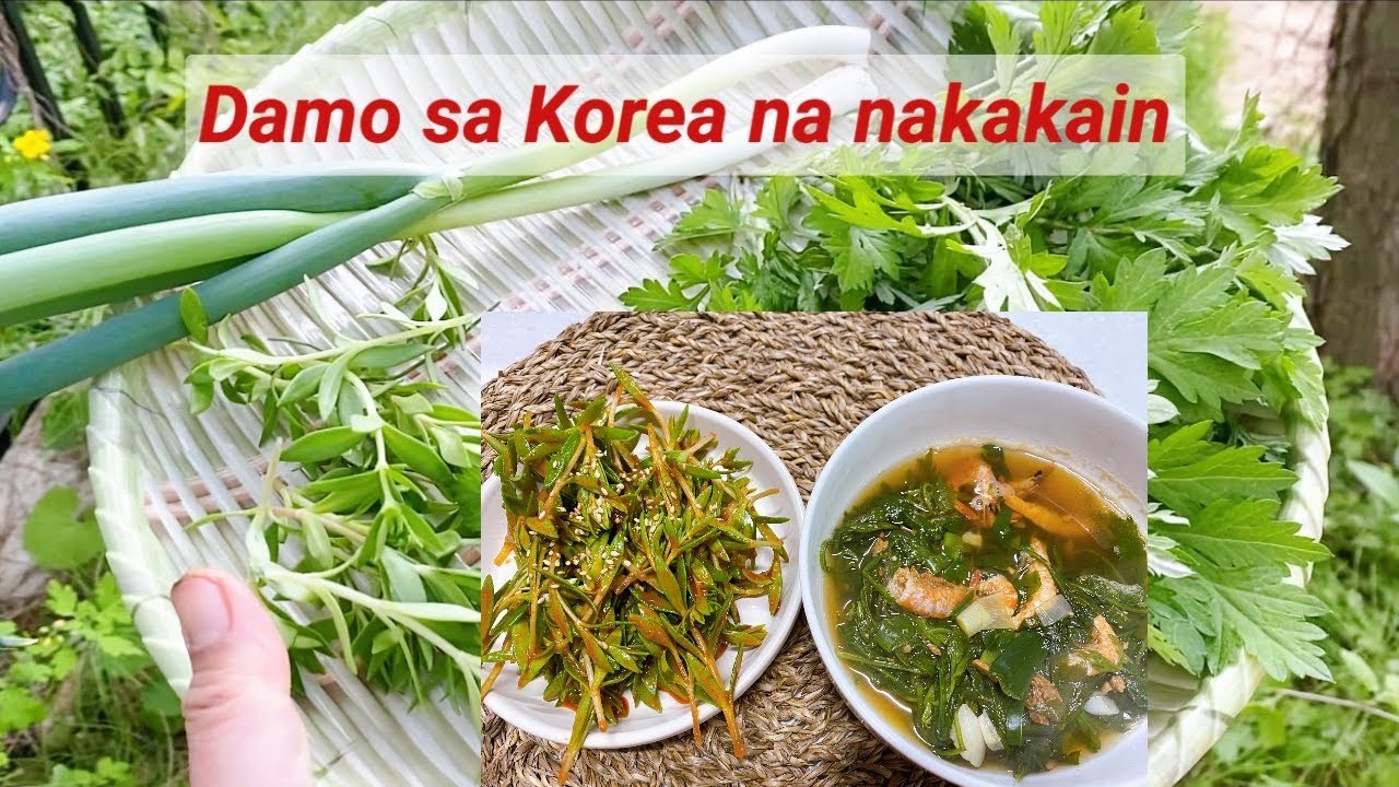 Mga Damo Sa Korea Na Nakakain | Wild Edible Greens In South Korea During Spring