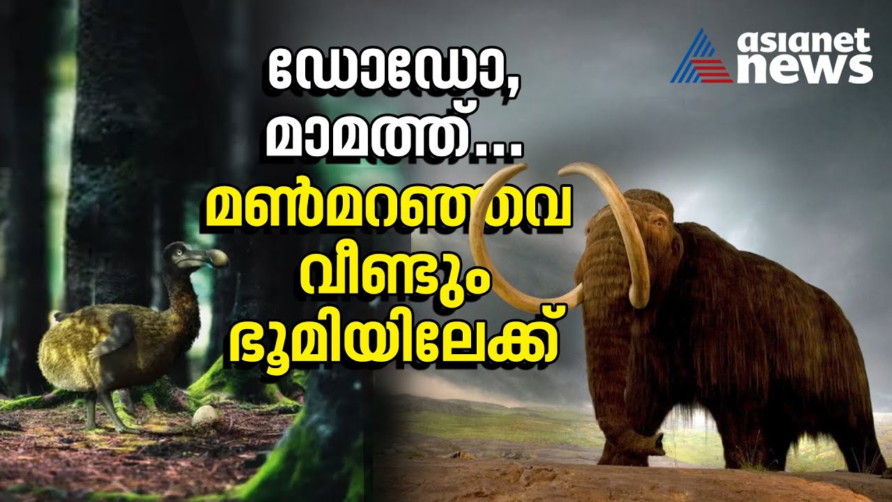 വംശനാശം സംഭവിച്ച ഡോഡോകളെ തിരികെയെത്തിക്കാനാകുമോ? കണ്ണുനട്ട് ശാസ്ത്രലോകം Dodo Bird