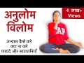 अनुलोम विलोम प्राणायाम को करने की विधि और लाभ को समझें | ANULOM VILOM | No retention of breath