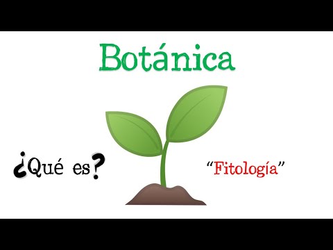 Video: ¿Cuáles son los diferentes tipos de botánicos?