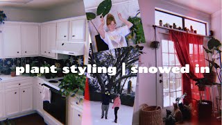 let's style houseplants in my bedroom + kitchen! | snowed in - 2.15.21 snow day by bunch of brunners  59 views 3 years ago 3 minutes, 11 seconds