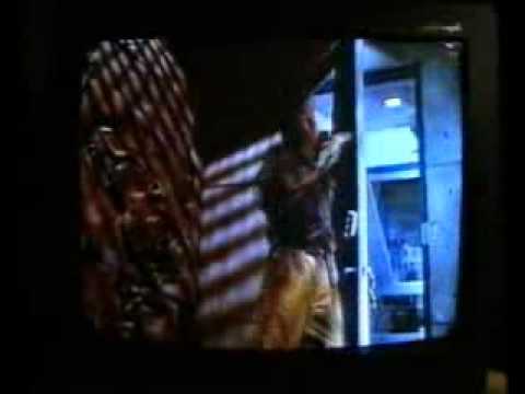 \"1 არხი\" მუდამ შენს გვერდით